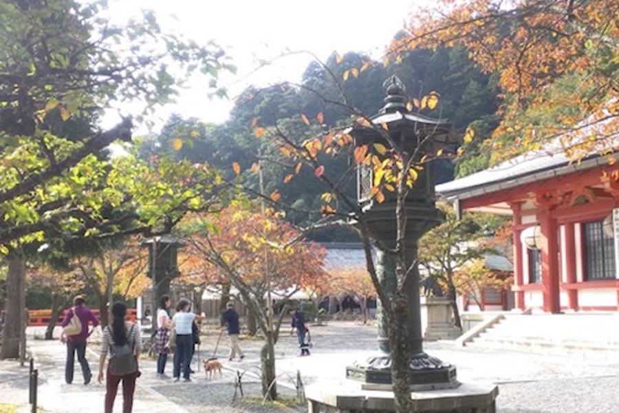 Kurama Dera Kyoto